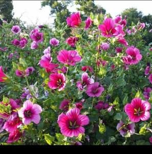 Meet your Posher, Ali